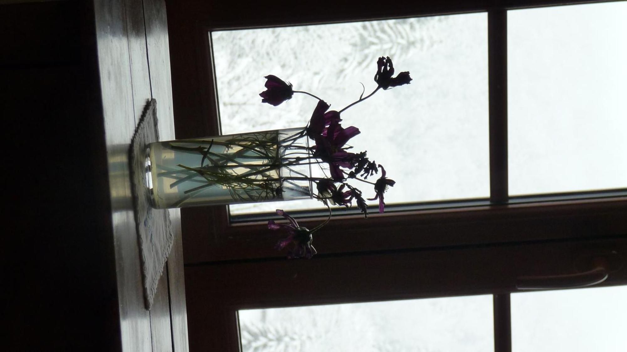 Bed and Breakfast La Chouette A L'Heure Du Pinson Saint-Pierre-d'Entremont  Pokoj fotografie